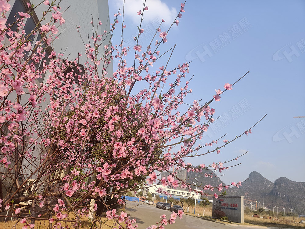 桂林鴻程花團(tuán)錦簇，滿園春色，邀您一起共賞春景，共商大計！